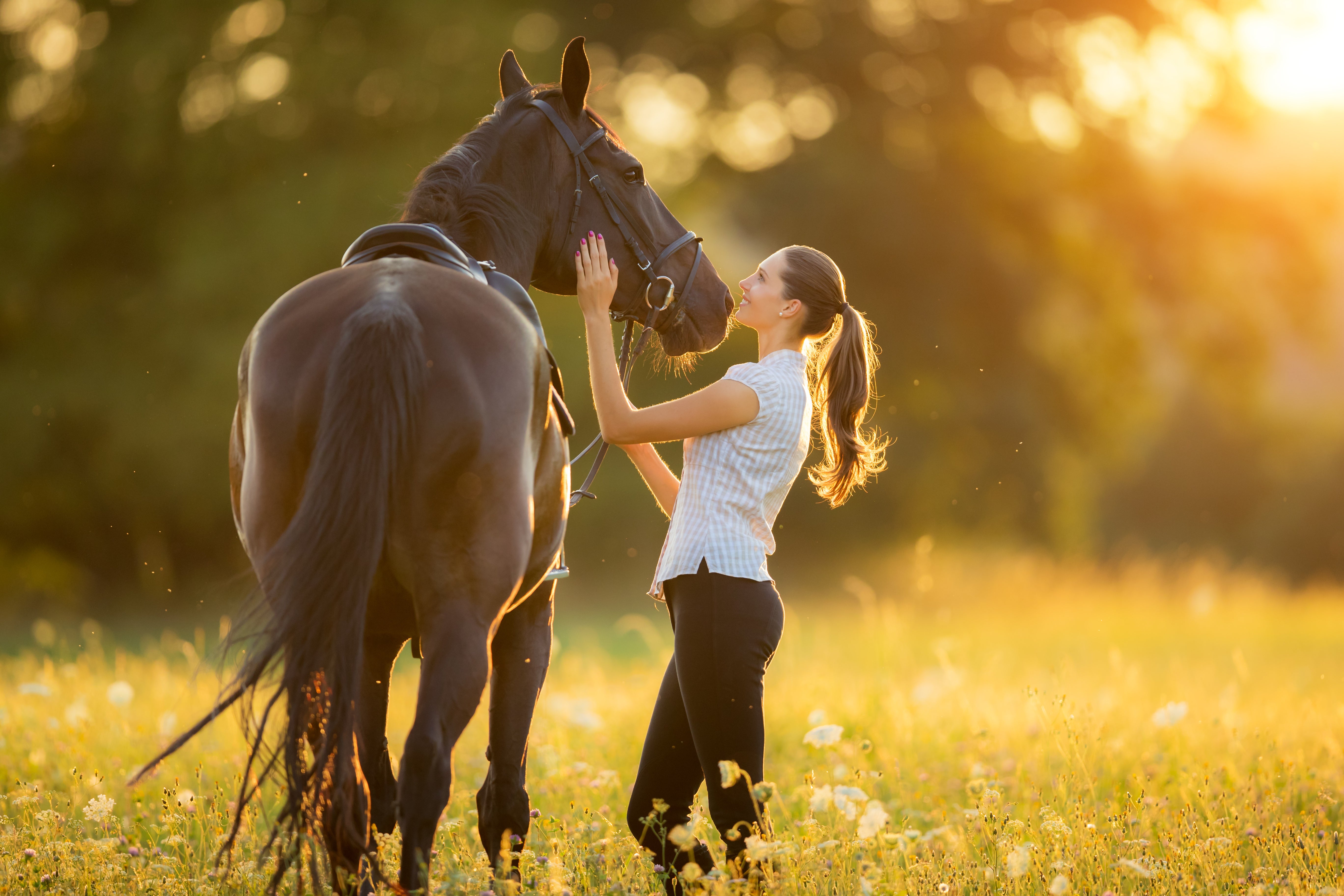 McCaskie Country Stores: Your Trusted Source for Horse Wormers in Central Scotland