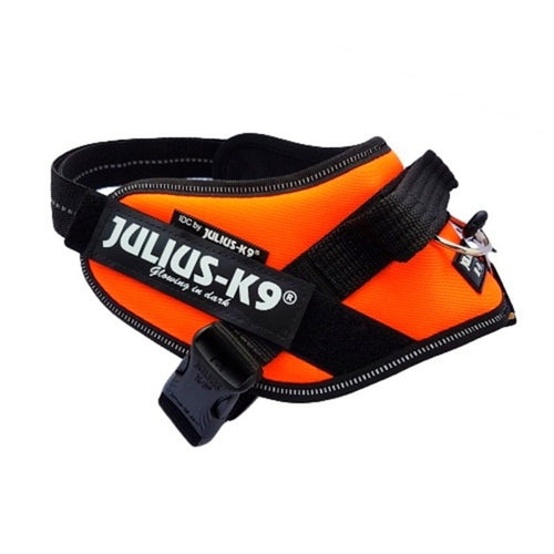 Julius K9 IDC Powerharness UV OrangeOur flagship dog harness with control handle that's suitable for full-grown dogs and puppies of all breeds. It's durability, level of comfort, and security make it tJulius K9McCaskieJulius K9 IDC Powerharness UV Orange