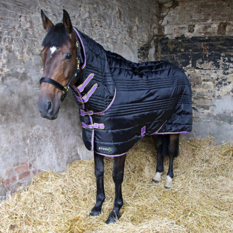 Hy Equestrian StormX Original 200g Combi Stable Rug Black/Yellow/Purple
