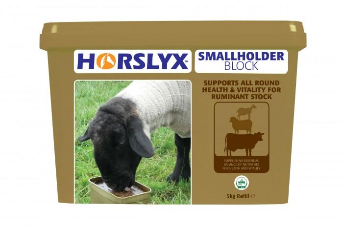 Horslyx Smallholder Block 5KgHorslyx is available in Original, Mint, Garlic, Respiratory, Mobility and Pro Digest formulations The Horslyx high specification vitamin, mineral and trace element pHorse Vitamins & SupplementsHorslyxMcCaskieHorslyx Smallholder Block 5Kg
