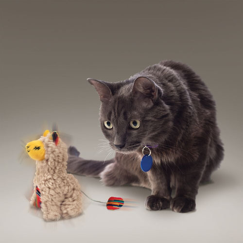 Kong Softies Buzzy LlamaPull KONG Softies Buzzy Llama’s tail and it spins and hums. Creating movement that sparks your cat’s natural hunting instincts. Crinkle sounds and KONG Premium NorthKongMcCaskieKong Softies Buzzy Llama