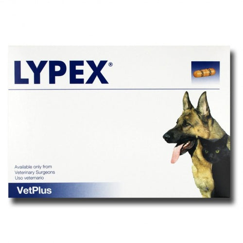 Lypex Capsules (60)A feed additive for digestive and pancreatic support containing enteric coated pancreatin granules. This formulation protects the pancreatin from the acid environmenPet Vitamins & SupplementsVetPlusMcCaskieLypex Capsules (60)