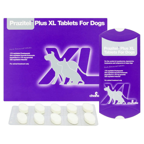 Prazitel Plus XL Tablet for Dogs (each)PRAZITEL PLUS XL TABLET FOR DOGS Prazitel Plus XL Worming Tablets for Dogs are for the treatment of dogs with mixed infections of nematodes and cestodes, including aPet MedicineChanelleMcCaskieXL Tablet