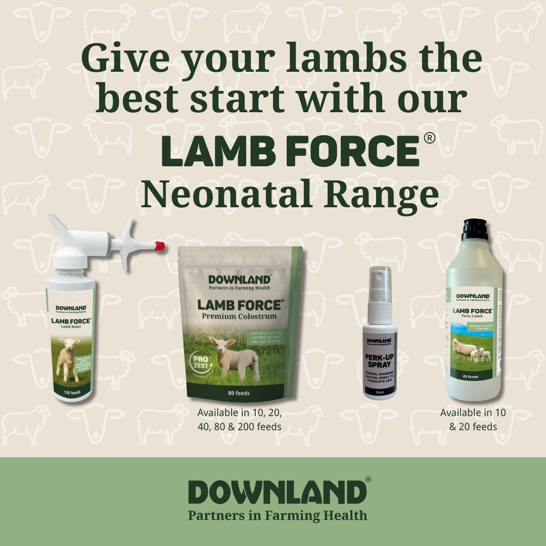 Downland Neonatal Range – McCaskie