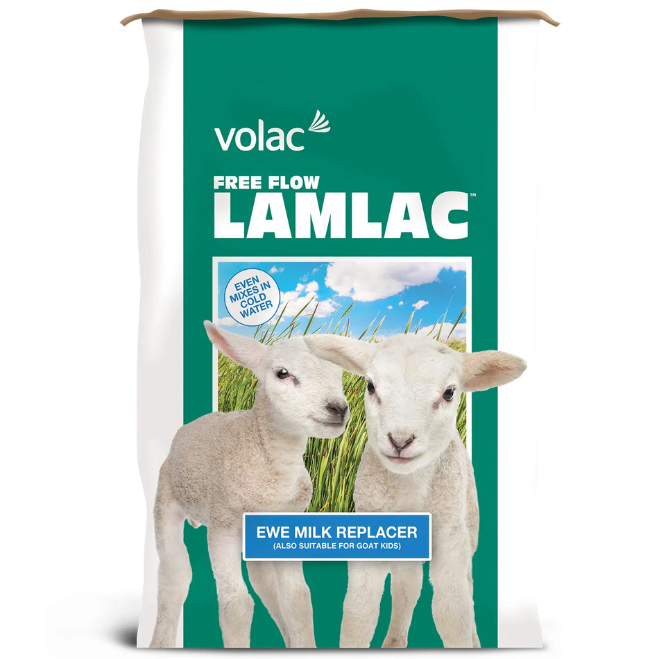 Lamb Feeds