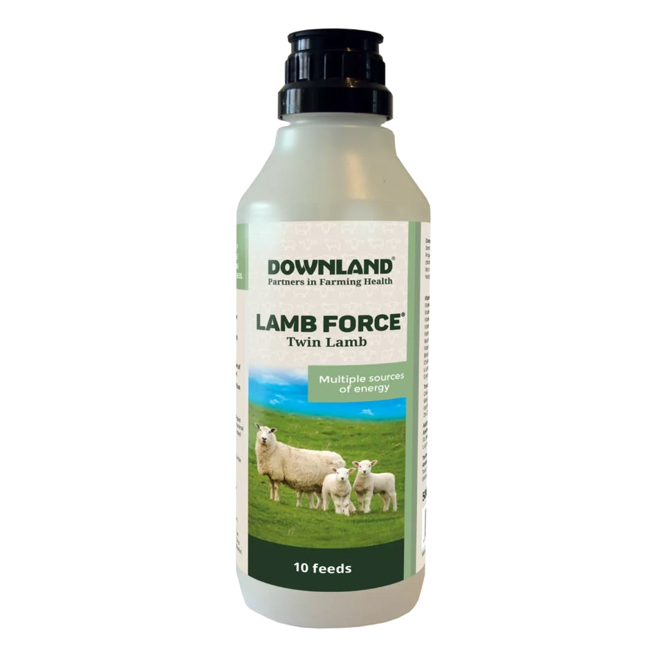 Downland Lamb Force Twin Lamb