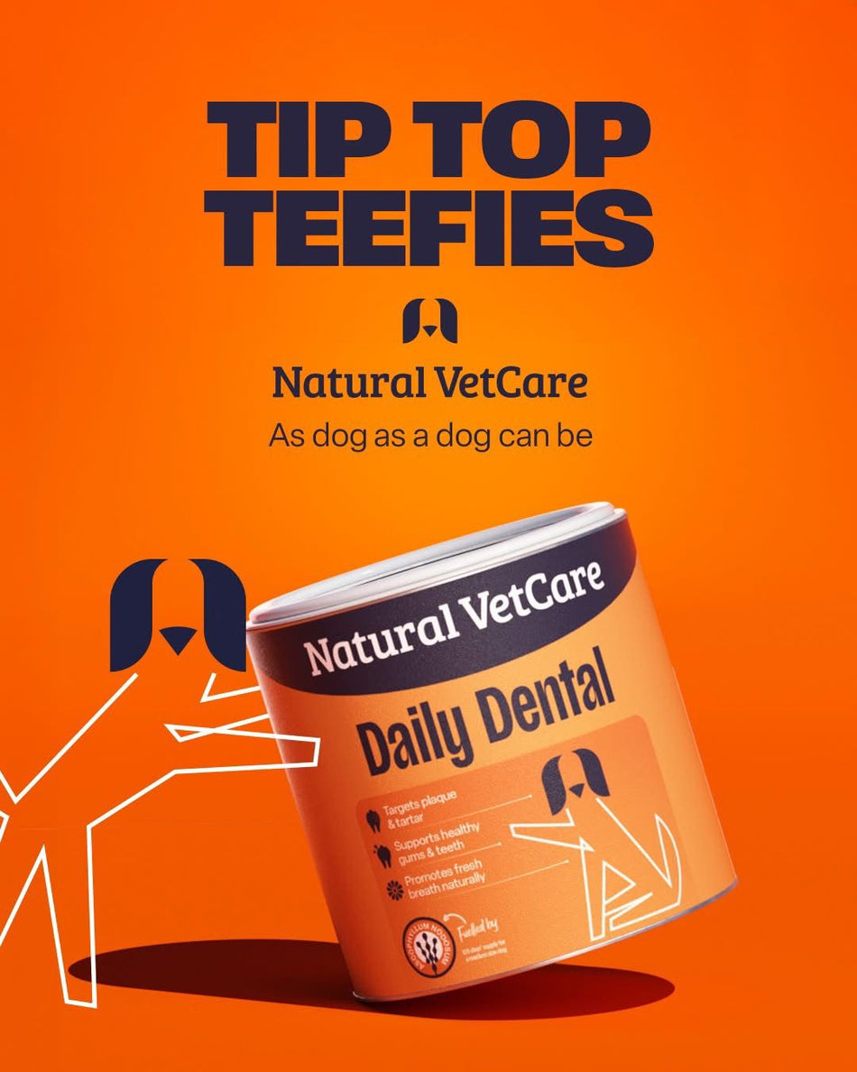 Natural Vetcare Daily Dental 200g