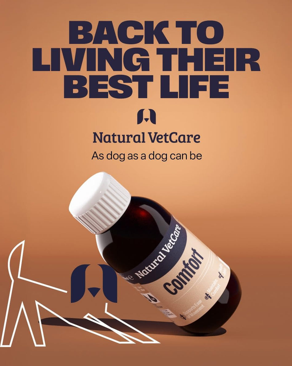Natural Vetcare Comfort Oil 100ml