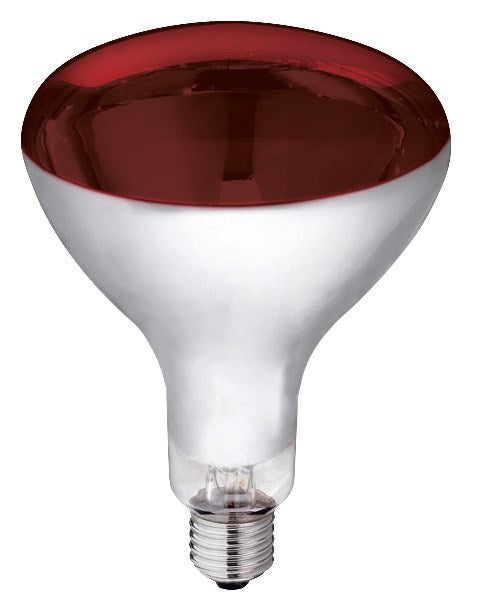 Infra Red Bulb Plain - Screw