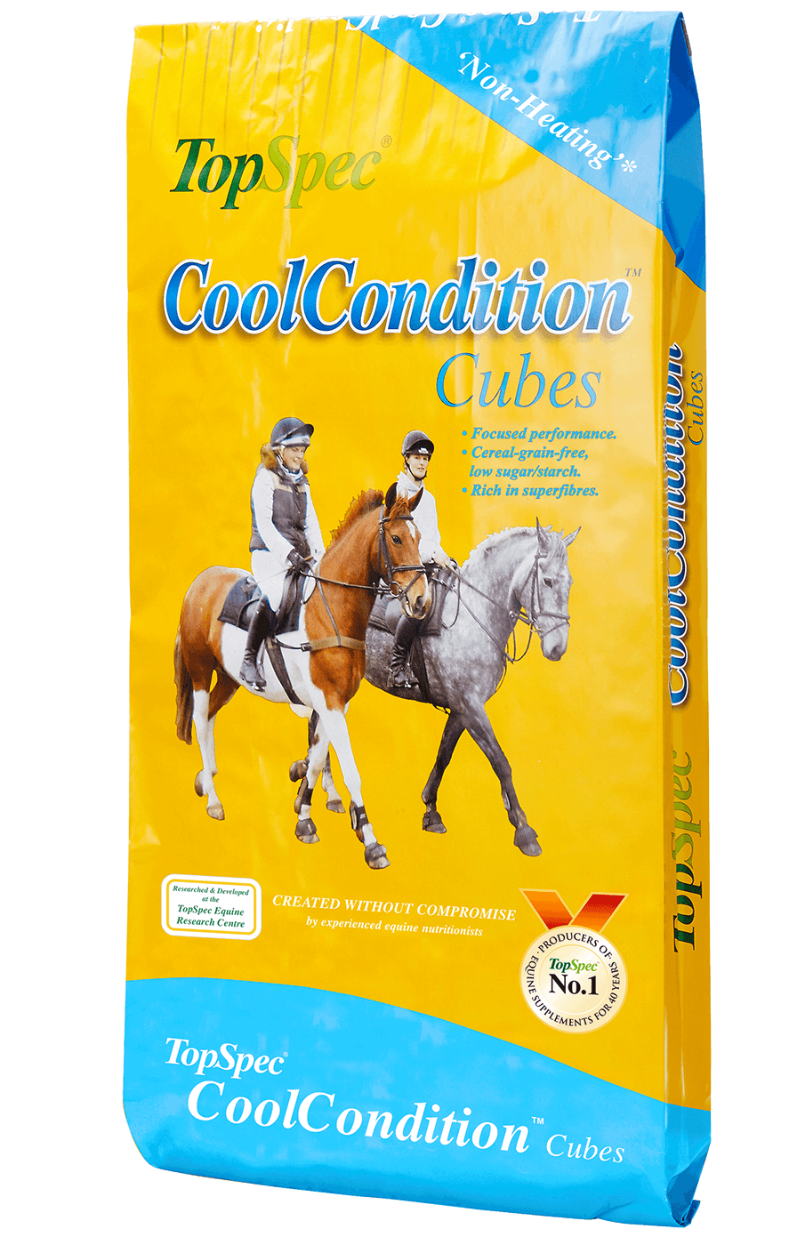 TopSpec Cool Condition Cubes 20kg