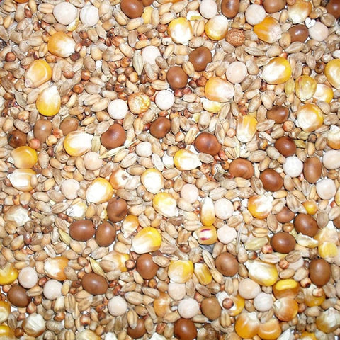 Johnston & Jeff Four Seasons Pigeon Corn 20kg