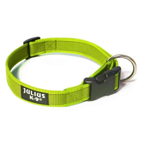 Julius K9 Collar without Handle Neon/Grey
