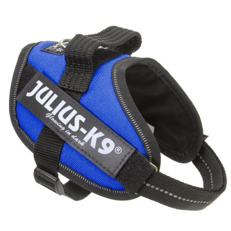 Julius K9 IDC Powerharness BlueOur flagship dog harness with control handle that's suitable for full-grown dogs and puppies of all breeds. It's durability, level of comfort, and security make it tJulius K9McCaskieJulius K9 IDC Powerharness Blue