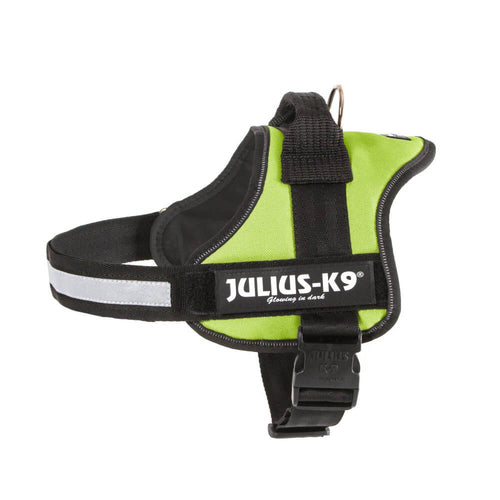 Julius K9 IDC Powerharness Neon GreenOur flagship dog harness with control handle that's suitable for full-grown dogs and puppies of all breeds. It's durability, level of comfort, and security make it tJulius K9McCaskieJulius K9 IDC Powerharness Neon Green