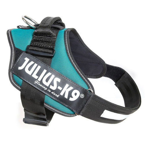 Julius K9 IDC Powerharness Petrol GreenOur flagship dog harness with control handle that's suitable for full-grown dogs and puppies of all breeds. It's durability, level of comfort, and security make it tJulius K9McCaskieJulius K9 IDC Powerharness Petrol Green