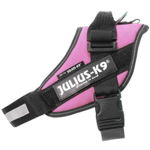 Julius K9 IDC Powerharness PinkOur flagship dog harness with control handle that's suitable for full-grown dogs and puppies of all breeds. It's durability, level of comfort, and security make it tJulius K9McCaskieJulius K9 IDC Powerharness Pink