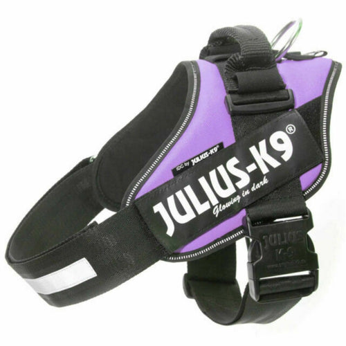 Julius K9 IDC Powerharness Purple