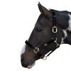 Hy Equestrian Deluxe Padded Head Collar