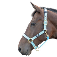 Hy Equestrian Deluxe Padded Head Collar