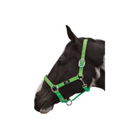 Hy Equestrian Deluxe Padded Head Collar