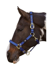 Hy Equestrian Deluxe Padded Head Collar