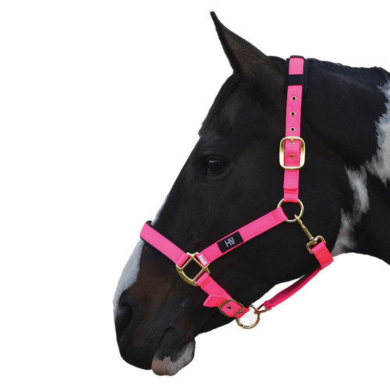 Hy Equestrian Deluxe Padded Head Collar