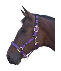 Hy Equestrian Deluxe Padded Head Collar
