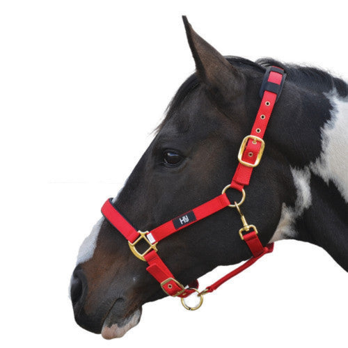 Hy Equestrian Deluxe Padded Head Collar