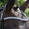 Hy Equestrian Diamond Flash Bridle with Rubber Reins