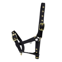 Hy Equestrian Foal Head Collar