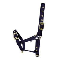 Hy Equestrian Foal Head Collar