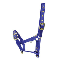 Hy Equestrian Foal Head Collar