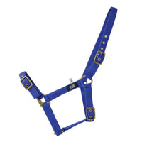 Hy Equestrian Fully Adjustable Head Collar