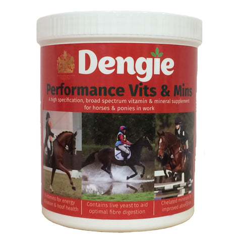 Dengie Performance Vits & MinsA high specification, broad spectrum vitamin and mineral supplement for working horses and ponies.Horse FeedDengieMcCaskieDengie Performance Vits & Mins