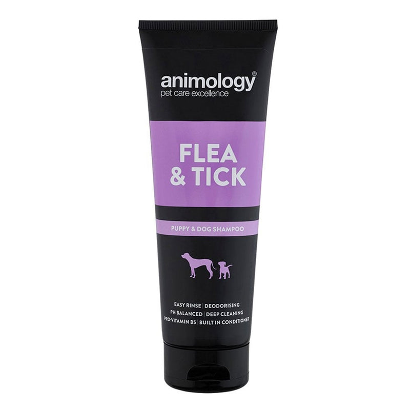 Animology Flea and Tick ShampooAnimology Flea and Tick shampoo is the ideal grooming product to compliment your dogs treatment for irritating fleas and ticks. Infused with the Animology 'MedicatedPet Shampoo & ConditionerAnimologyMcCaskieAnimology Flea