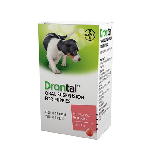 Drontal Puppy SuspensionFor the treatment and control of roundworms and whip worms in puppies and young dogs up to one year of age.
You can download the Drontal Puppy Oral Suspension datashPet MedicineBayerMcCaskieDrontal Puppy Suspension