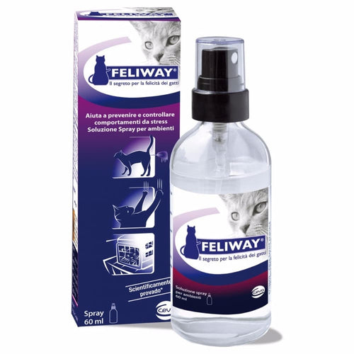Feliway SprayThe spray helps prevent issues like scratching and spraying, and makes travel and visiting the vet less stressful.
Pheromones are volatile chemical signals which areBehaviouralFeliwayMcCaskieFeliway Spray