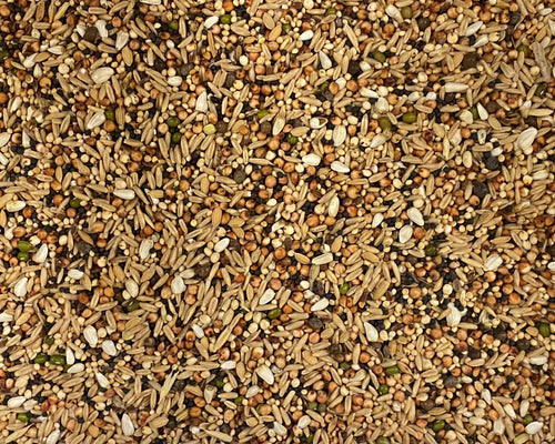 JJ Poultry Tonic Seeds