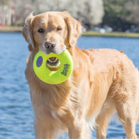 Kong Airdog Squeaker DonutKONG AirDog® Squeaker Donut combines two classic dog toys -the tennis ball and the squeaker - to create the perfect fetch toy. The non-abrasive, high-quality materiaKongMcCaskieKong Airdog Squeaker Donut