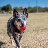 Kong Ball Single