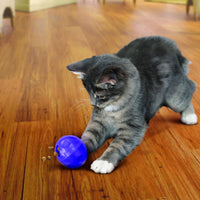 Kong Cat Treat BallPlace treats inside and watch your cat chase and swat the KONG Treat Ball! Challenging and entertaining, the Treat Ball helps keep cats busy, healthy and happy.KongMcCaskieKong Cat Treat Ball