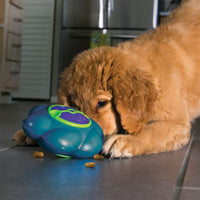 Kong FlipzKONG Flipz pops up and over when dogs tap it, dispensing treats as it flips and wobbles, sparking natural foraging instincts for a mentally-stimulating food puzzle. KongMcCaskieKong Flipz