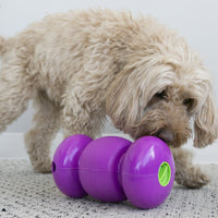 Kong ReplayWhen a dog pushes the KONG Replay, this next generation of treat-dispensing toy rolls away—then rolls back on its own. Completely paw powered, the irresistible returKongMcCaskieKong Replay