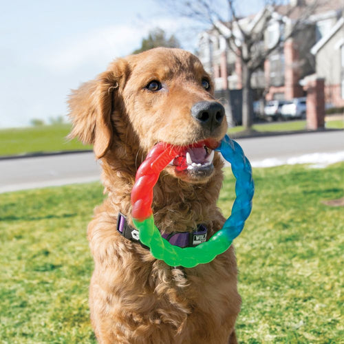 Kong Twistz Ring SmallKONG Twistz blends together durability and flexibility to satisfy tug and fetch instincts in a ring of fun. With just enough give to make tugging more tempting and rKongMcCaskieKong Twistz Ring Small