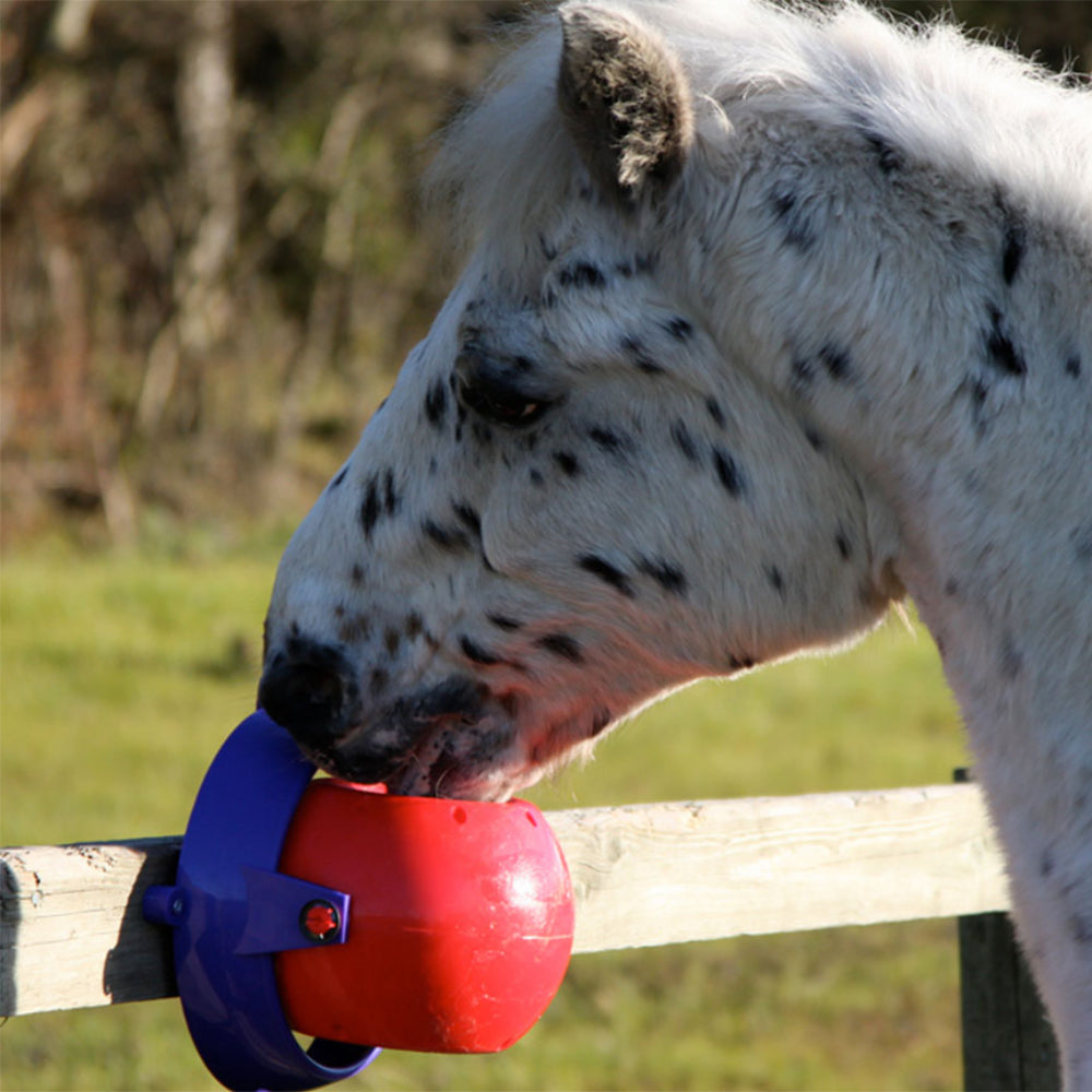 Likit Tongue Twister PurpleDesigned to be fixed to the stable wall, the Tongue Twister is ideal for less adventurous horses, or where space is at a premium.Multi-directional movementAbility toHorse TreatsLikitMcCaskieLikit Tongue Twister Purple