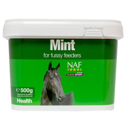 NAF Mint 500g