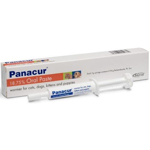 Panacur 18.75% Oral Dog/Cat Paste 5gA broad spectrum anthelmintic for the treatment of domestic dogs and cats infected with immature and mature stages of nematodes of the gastro-intestinal and respiratPet MedicineMSD Animal HealthMcCaskiePanacur 18