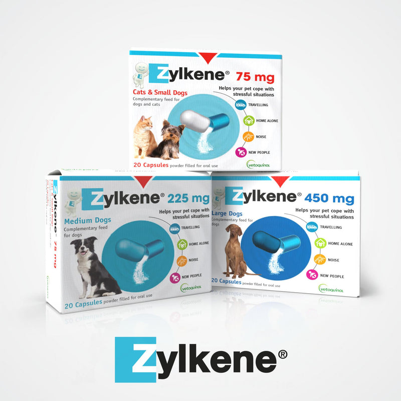 ZylkeneZylkene capsules contains a natural product, derived from casein, a protein in milk. It is a molecule well known to promote the relaxation of newborns after breastfeBehaviouralVetoquinolMcCaskieZylkene